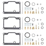 14823125 Carburetor Rebuild Repair Kit for Polaris Indy XLT 600 1995 1996 1997 Carb, for 1992-1994 Indy XLT/SKS/SP, for 1996 XLT RMK 600, for 1994 Polaris Indy XLT Special Xtra