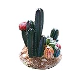 Die Länge des Produkts beträgt 5 cm, und die Höhe beträgt 7 cm.