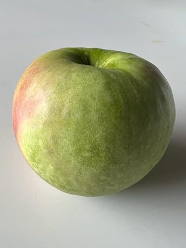 New England Granny Smith Apples - Thumbnail 3