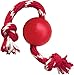 KONG - Ball with Rope - Durable Rubber, Fetch and Chew Toy - For Small Dogs