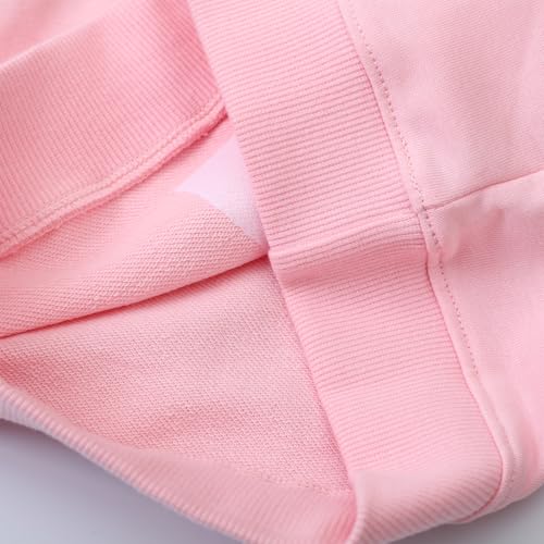 Image of Bumeex Girls Cotton Crewneck Cute Sweatshirts The Hedgehog and The Fox Pink 2-7T