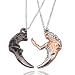 Produktbild Baoleiju Cartoon Zirconia Accent Beauty and The Beast Halskette mit Anhänger Sirene Paar Halskette, Schönheit und Bestia Halskette für Sie und Ihn