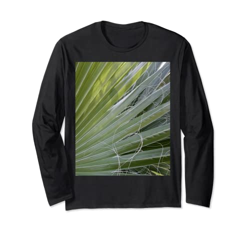 Abstrait photographique de palmier éventail avec fils fibreux Manche Longue
