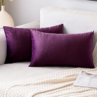 EMEMA Velvet Cushion Covers Light Blue Decorative Throw Pillow Case 16x16 Inch 40x40 cm Pillow Covers for Livingroom Sofa Bedroom Pack of 2