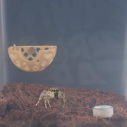 Image of DQITJ Jumping Spider Hidden House Tarantula Enclosure Accessories with Magnet and Water Bowl for Tarantula Insect Praying Mantis Jumping Spider Stick Insect