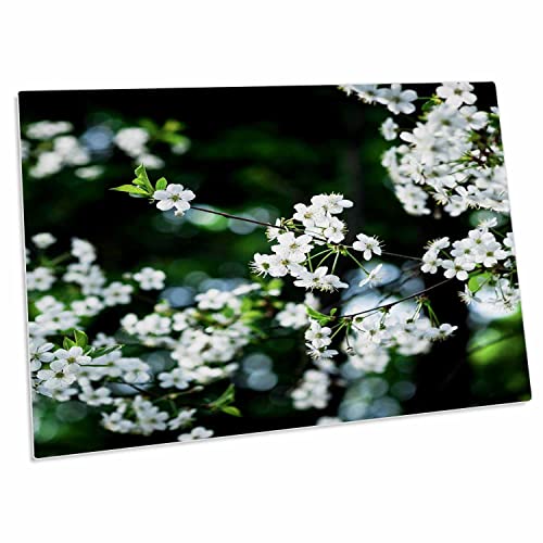 3dRose White Cherry Flowers Desk Pad 23x16 in miniatura 1