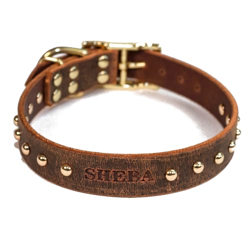 Copper Leaf Leather Handmade Studded Personalized Bridle Leather Dog Collar cover