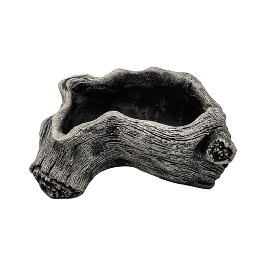 Qsvbeeqj Vintage Zementpflanzer mit Baumwurzel Textur für Sukkulenten...