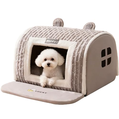 Foivozs   h[^  nEX ybgnEX  xbh h[ h[^xbh  ybgxbh h[  xbh ^  xbh ^ H~p LnEX Lxbh 􂦂 [\ ۉh ~ 牮 ybgpi (