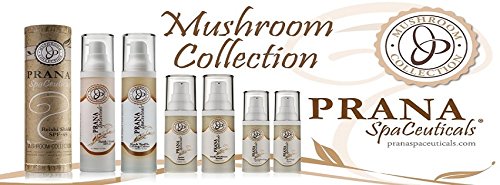 Prana SpaCeuticals ReVitalize Lips