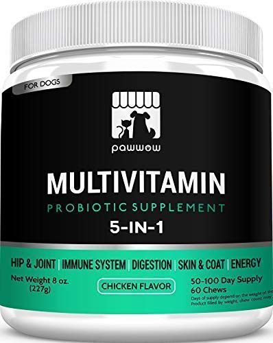 PawWow 5-in-1 Dog Vitamins and Probiotics Supplement with Turmeric – Hip & Joint