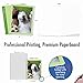 The Best Card Company - 10 Adorable Note Cards Blank (4 x 5.12 Inch) - Wildlife and Animal Cards, Assorted Boxed Kids Set - Animal Selfies M2373OCB-NB