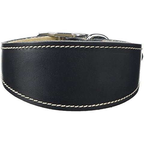 BBD Pet Products Whippet Collar, Durable Leather Cover