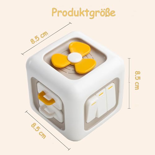Loyzico 6 in 1 Montessori Spielzeug ab 1 Jahr, Baby Spielzeug von 1–3, Motorikwürfel Motorikspielzeug, Baby Geschenk ab 12 18 Monate Junge und Mädchen
