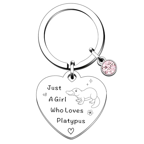 QMVMV Lustiges Schnabeltier-Geschenk für Schnabeltierliebhaber, Geschenk für Frauen und Mädchen, die Schnabeltier-Schlüsselanhänger lieben, silber, One size