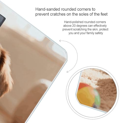 Báscula digital para baño con diseño Dachshund colorido miniatura 4