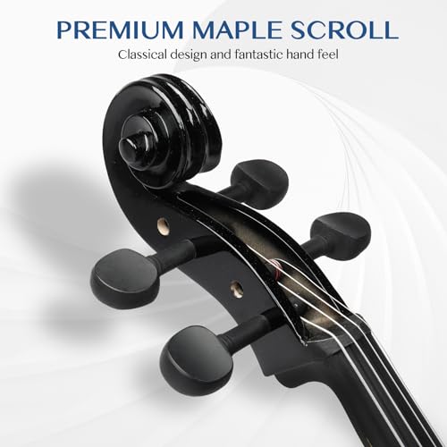 Ktaxon 4/4 Electric Cello, Professional Silent Electric Cello Kit with Thickened Bag, Stereo Headphones, Premium Cable and Rosin, Full Equipment for Adults Beginner and Student (Black)