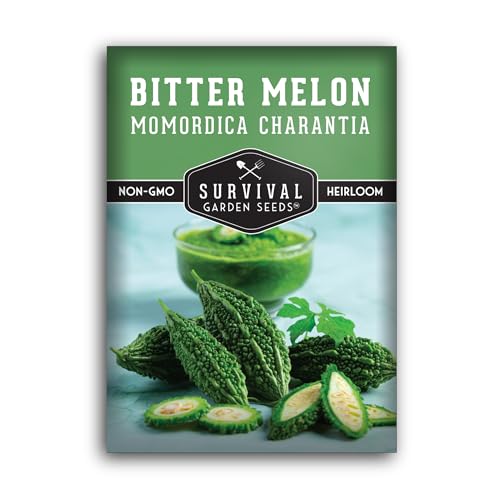 Bitter Melon Seeds for Planting Bitter Gourd Karela Ampalaya Non-GMO Heirloom Vegetable Seed Variety Survival Garden Seeds (1 Pack)
