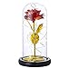 Kit de Regalo de Rosa de la Bella y la Bestia, Regalo para Mama，Rosa de Seda roja y luz LED con pétalos caídos, Regalos para la decoración Principal de cumpleaños, día de la Madre.