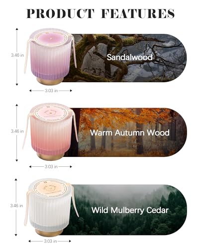 Thompson's Candle Co Super Scented Crumbles/Wax Melts 6 Oz Welcome Home Crumbles