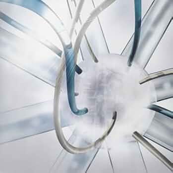 PIERROT Dictators CircusⅦ Amazon.co.jp: DICTATORS CIRCUS-A variant BUD-: ミュージック