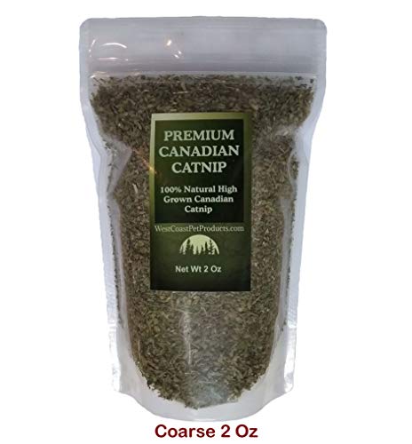 Fresh Premium Canadian Catnip