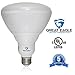 Great Eagle (4-Pack) LED BR40 2700K Dimmable Bulb. 18 Watt (120W) UL Listed 1480 Lumens Warm White Light for Recessed and Track Lighting Fixtures - USA Seller