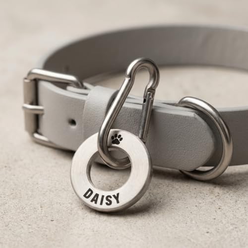 UKR Designs Identifikationsmarke für Hunde/Haustiere aus massivem Messing oder Edelstahl, mit professioneller Gravur und poliert