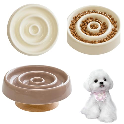 Lifetips }`[Y }` Lp X[t[h{E ؐ Hh~ ~ HZbg ^ L  􂢂₷ iؐx-X^CvJuEj