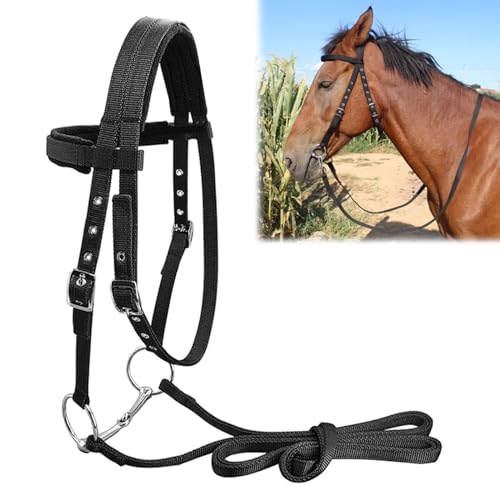 Brida de Caballo, Brida Profesional sin Puntas Brida de Caballo Riendas de Nudo Halter para Caballo, Tamaño Grande