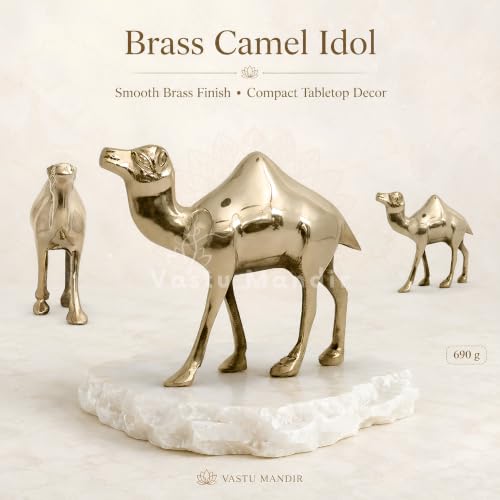 Image of Brass Camel Idol, Vastu Remedy for Endurance & Stability (16 cm, 780 g)
