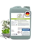 Dufte Momente Saunaaufguss-Konzentrat Broncho Hustelinchen (Eukalyptus...