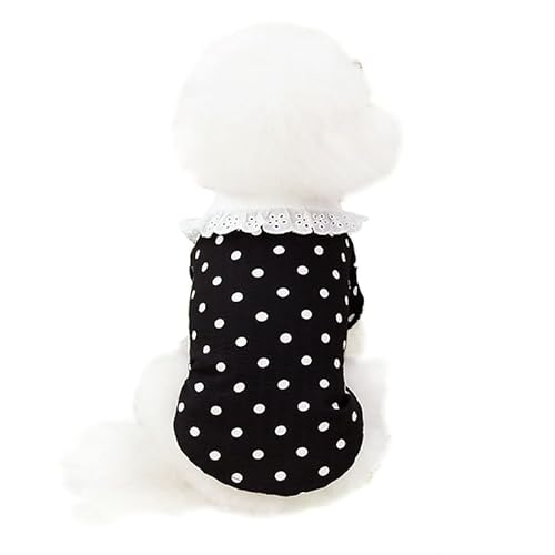 OUHUAN ybg  TVc tėp [X̋ hbg͗l ʋCbV ^Ngbv _炩 ̕ ybgEFA hbOEFA xXg pW} Lm lC  t@bV ^ ^ L ʋC ₩ U o 