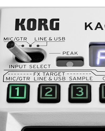 Korg KAOSS Pad V Dynamic Effect Sampler with Dual-Touch XY Pad, Voice FX, Looping & USB Audio Interface