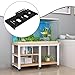 FJMQHU Fish Tank Storage Rack, Fish Tank Organizer, Premium, Spare Parts Easy to Install Accessories Supplies Tool Storage Holder, Black