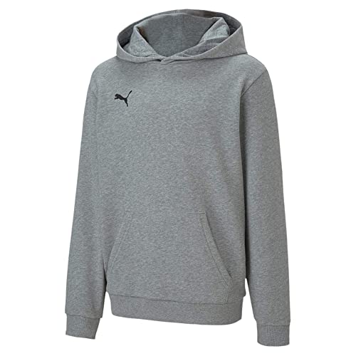PUMA Unisex Kinder, teamGOAL 23 Casuals Hoody Jr Hoodie, Medium Gray...