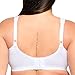 Glamorise Full Figure Plus Size MagicLift Cotton Support Bra Wirefree #1001 White
