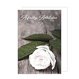 Edition Seidel Premium Trauerkarte mit Umschlag. Trauer eine einzelne Beileidskarte Karte aufrichtige Anteilnahme Rose Abschied stille Anteilnahme Teilnahme Mitgefühl Beileid Abschied (T1002 SW022)