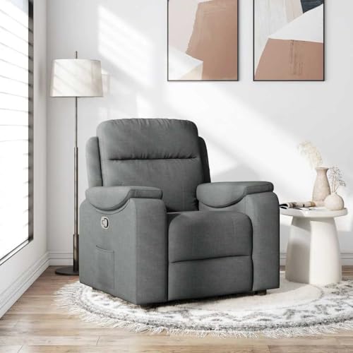 IKAYAA Sillón Reclinable Moderno Gris Oscuro