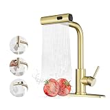 Gold Kitchen Faucets with Pull Down Sprayer,Waterfall Kitchen Sink...
