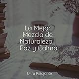  Rio Lento