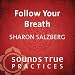 Follow Your Breath: A Foundational Technique