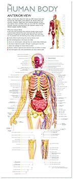 Hardcover Discover The Human Body - Educational Box Set (Wonder of Learning) Book