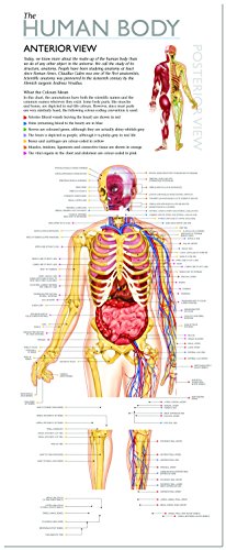 Discover The Human Body - Educational Box Set (... 1783735171 Book Cover