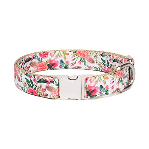 WAAAG Pet Supplies, (Summer Garden) Cat Collar, Dog Collar, Cat Leash, Dog Leash, Cat Harness, Dog Harness, Small Dog Collar, Medium Dog Collar, Large Dog Collar (Pet Collar, L)