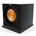 Klipsch R-110SW Subwoofer