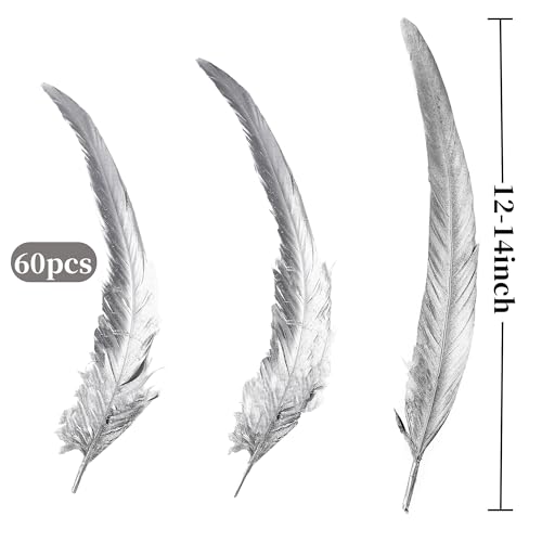 Holmgren Silver Rooster Tail Feathers - 60pcs 12-14inch Long Rooster Tail Feathers Bulk for DIY Crafts Costume and Halloween Party Performances Decoration (Silver) by Holmgren - Image 3