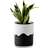 Nihow Self Watering Plant Pot: 6 Inch Ceramic Planter with Drainage Hole & Water Storage Plus for Indoor & Outdoor Plants - Cylinder Round Flower Pot for Succulent/Herbs/Violets - White & Wave Black