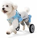 Zweirädrige Klappbare Hunde-Rollstühle,Hinterbein-Rollstuhl für Kleine Große und Mittel Haustiere,Verstellbarer Hunderollstuhl für Hinterbeine