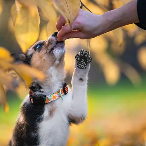 Anti-Rutsch Pfotenschutz für Hunde 4 Stücke,Selbstklebende Silikon-Gel Beständig rutschfest Traktion Hund Schuhe Hundeschuhe Hundesocken Ersetzen XXL (Schwarz, M)